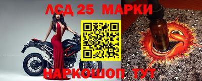 прущие грибы Волгодонск