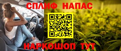 прущие грибы Волгодонск