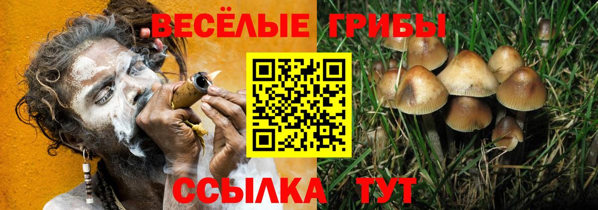 Галлюциногенные грибы Cubensis  Псилоцибиновые грибы ЛСД  Вход с VPN  Октябрьский 