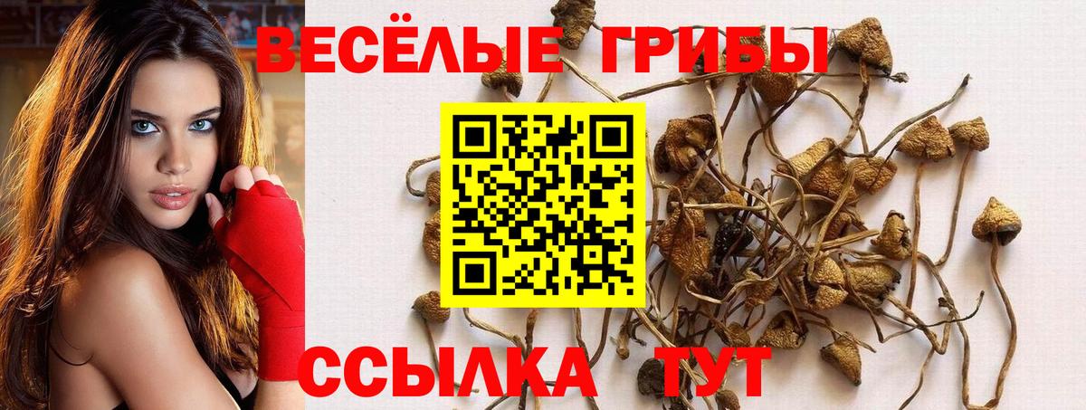 Галлюциногенные грибы MAGIC MUSHROOMS Октябрьский